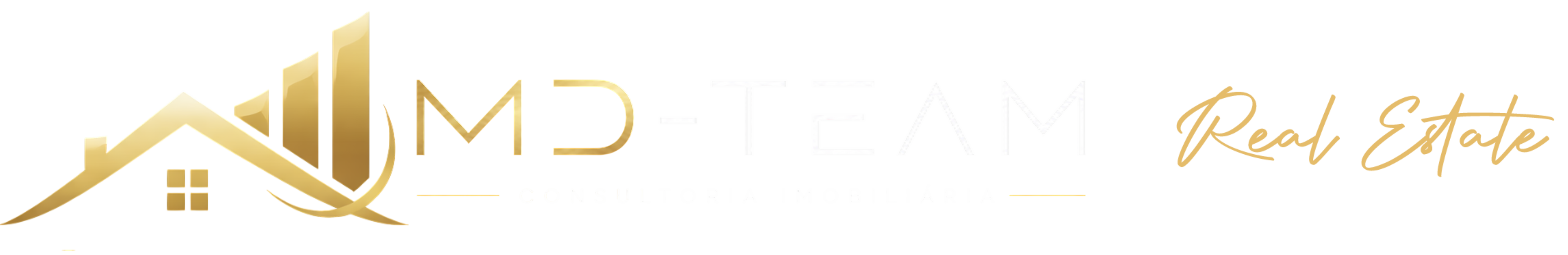 MD Team logo